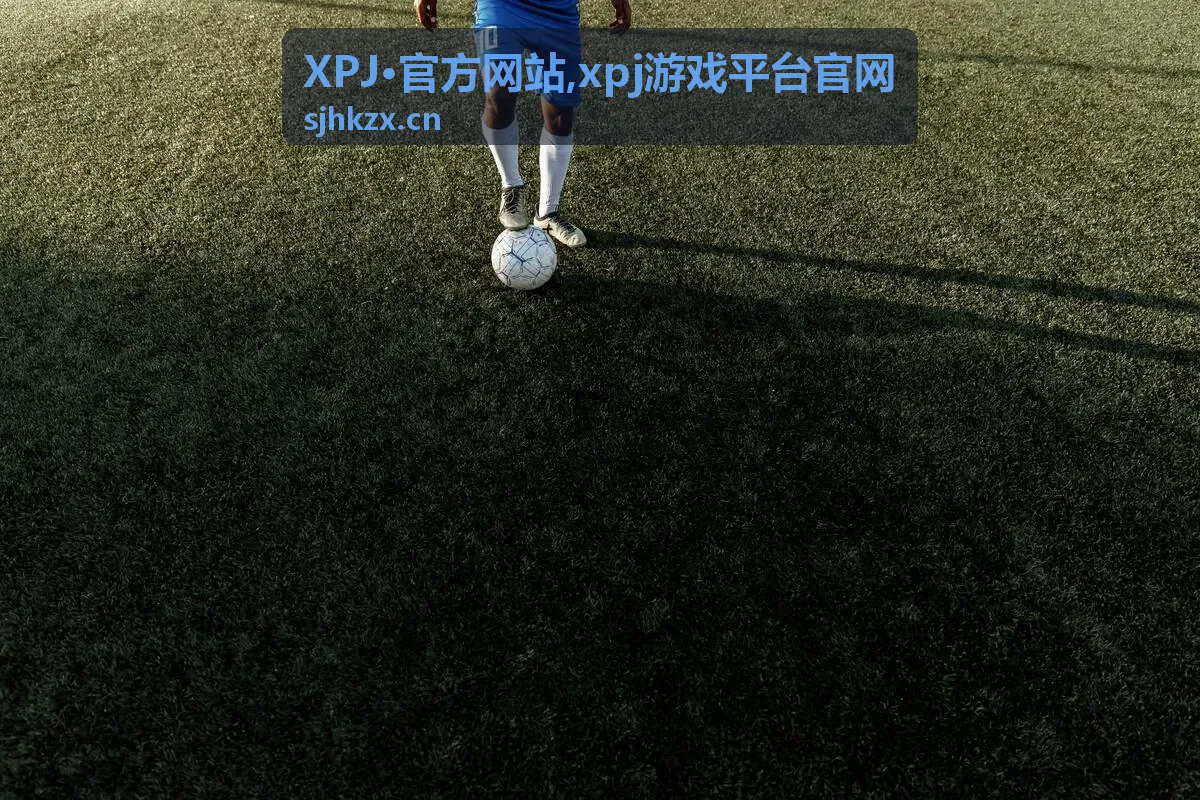 XPJ·官方网站 xpj游戏平台官网 平台说明封面图